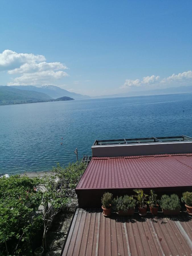 Orhidea House Otel Ohri Dış mekan fotoğraf
