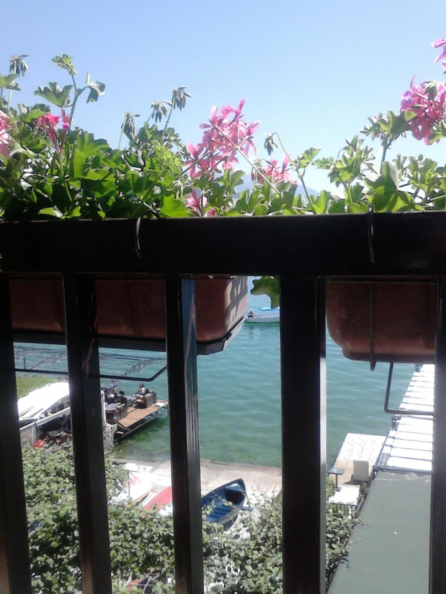 Orhidea House Otel Ohri Dış mekan fotoğraf