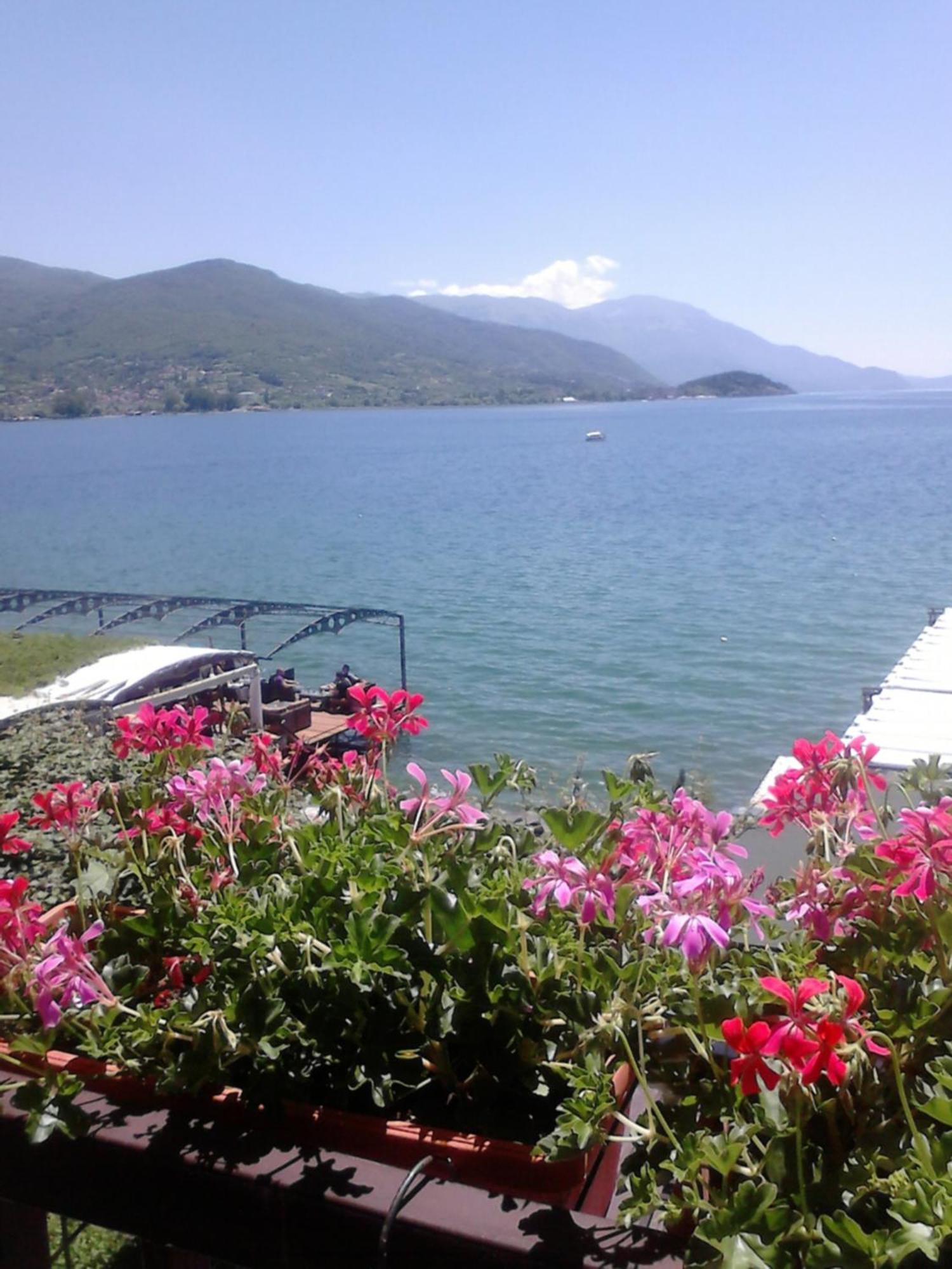 Orhidea House Otel Ohri Dış mekan fotoğraf