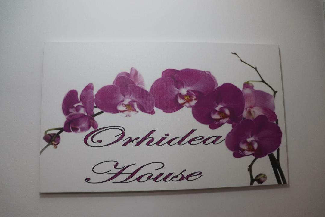 Orhidea House Otel Ohri Dış mekan fotoğraf